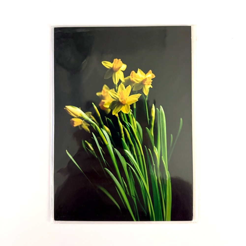 🖤🌾 5x7 Yellow Daffodil Print